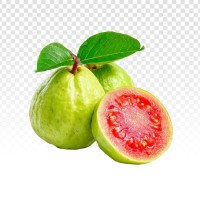 Gauva