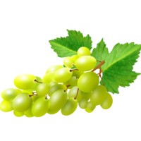 Grapes